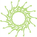 خانه